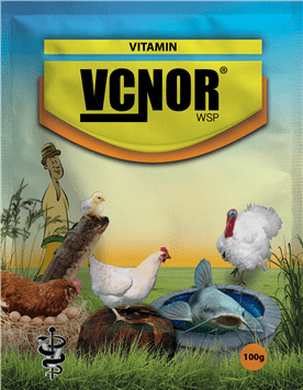 G.Vcnor