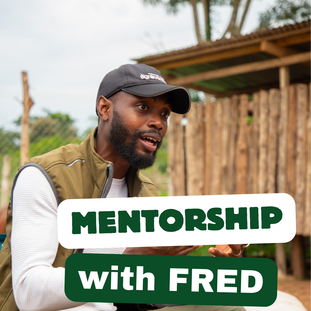 MENTORSHIP