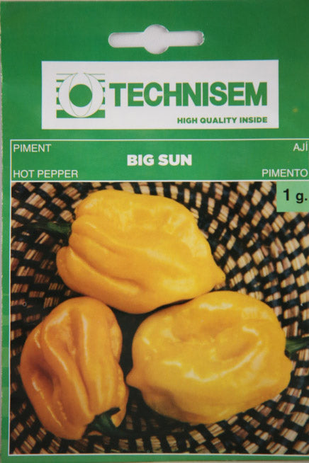 Technisem Hot Pepper Big Sun Pimento