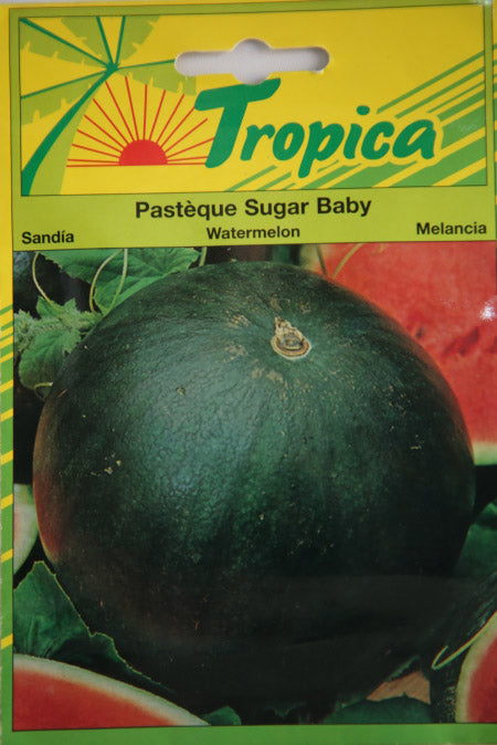 Tropica pasteque sugar baby watermelon seed