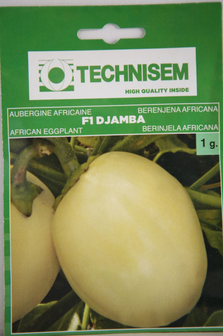 Technisem African Eggplant F1 Djamba Seed - 1g