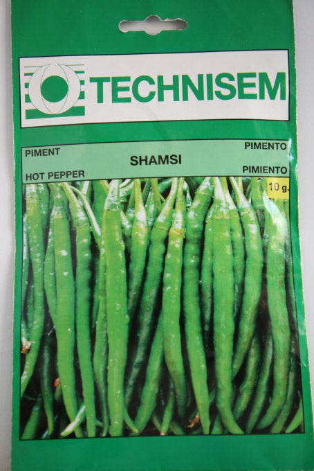 Technisem shamsi hot pepper seeds 10g