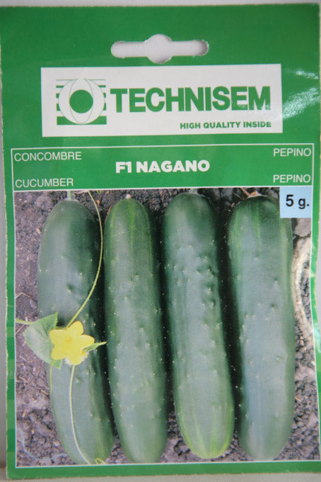 Technisem F1 Nagano