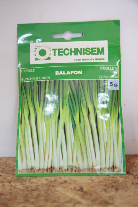 Technisem Balafon bunching onion seeds 5g