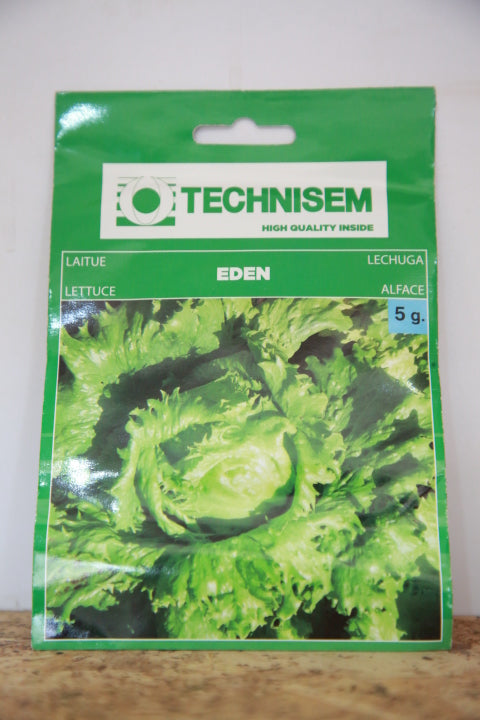 Technisem Eden lettuce  seeds 5g