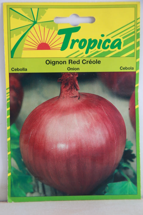 Onion Creole