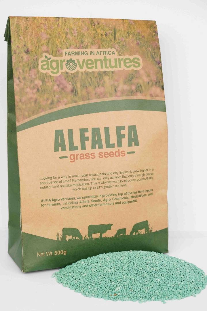 Alfalfa Grass Seeds (100g)