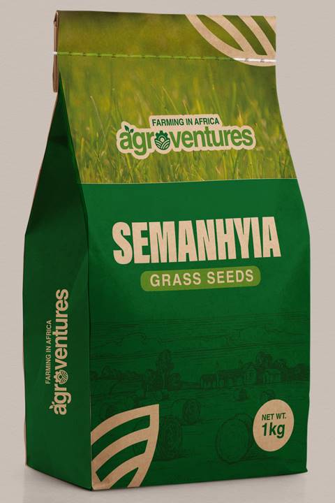 Semanhyia Grass Seeds (1Kg)