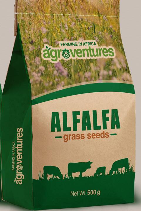 Alfalfa Grass Seeds (500g)