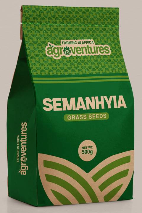 Semanhyia Grass Seeds (500g)