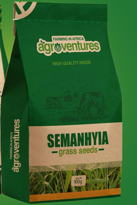 Semanhyia Grass Seeds (100g)