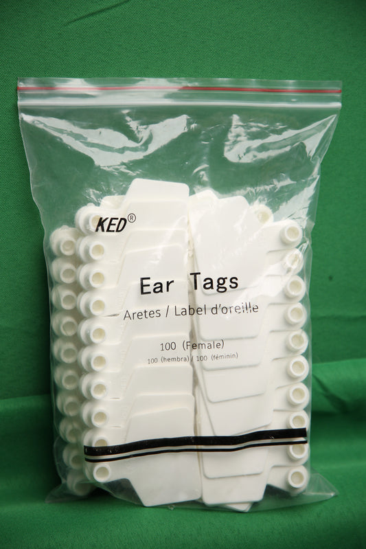 Plastic ear tag without layer printing D (White)