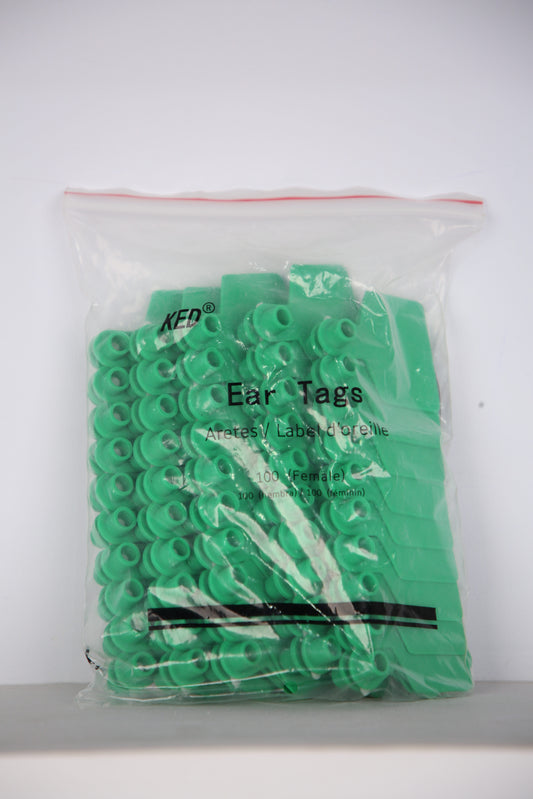 Plastic ear tag without layer printing C (Green)