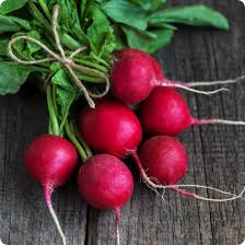 Radish seed