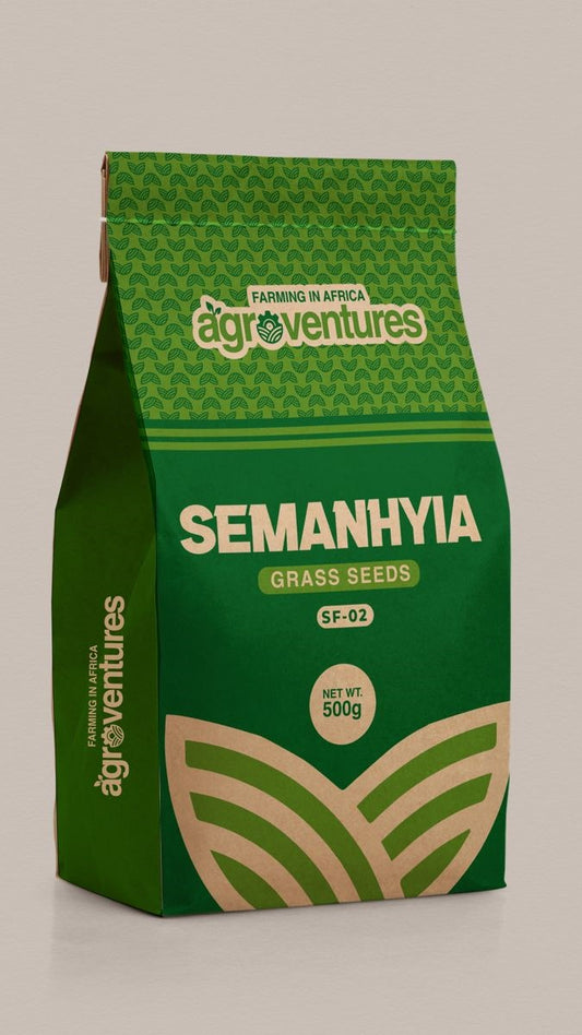 Semanhyia Grass Seed (SF02) - 500g