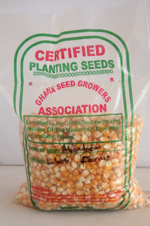 Certified maize seed 1kg