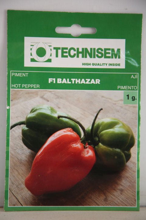 Technisem Hot Pepper F1 Balthazar Pimento