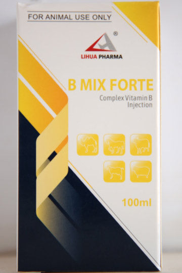 B Mix Forte (Complex Vitamin B Injection)