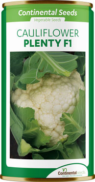 cauliflower seed