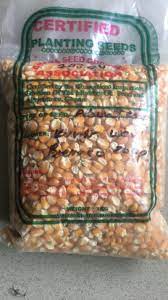 Certified maize seed 1kg