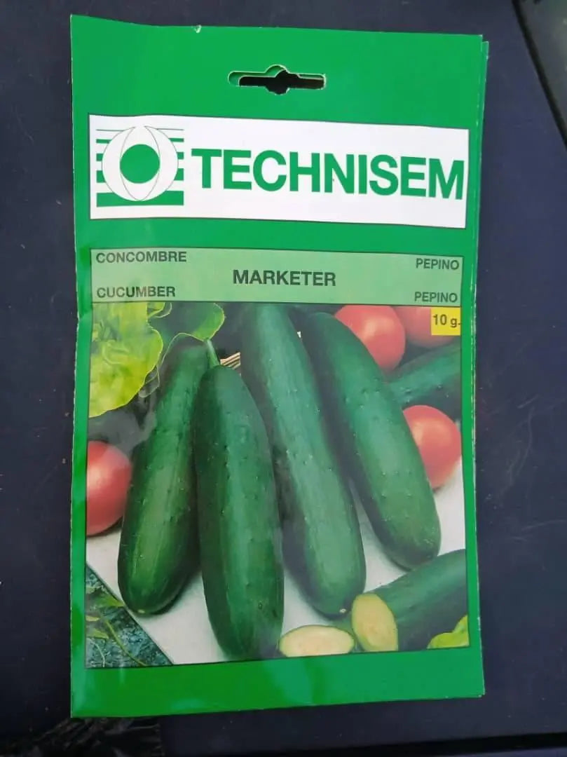 cucumber  seeds