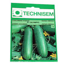 Technisem olympic F1 cucumber  seeds 5