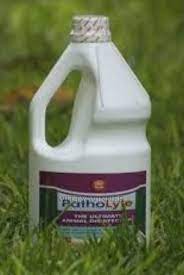 Patholyte 2L