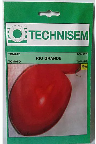 Technisem tomato rio grande+ seeds